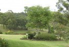 Wacolresidential-landscaping-40.jpg; ?>